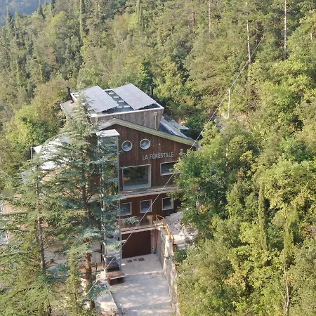 La Forestale Luxury Piano Terra- Appt Acqualagna