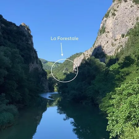 La Forestale Luxury Piano Terra- Appt *