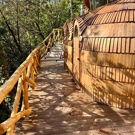 La Forestale Luxury Piano Terra- Appt Acqualagna